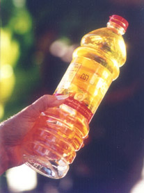 auto.JPG (23160 bytes)