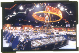 towerrecords.JPG (39313 bytes)