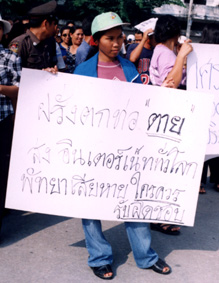 n12.JPG (34473 bytes)