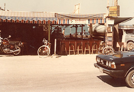 f32.JPG (28696 bytes)