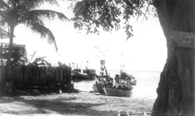 f33.jpg (20601 bytes)