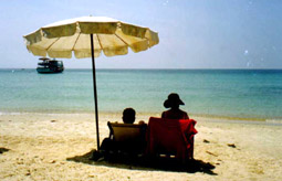 f51.JPG (16188 bytes)