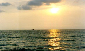 f52.JPG (17123 bytes)