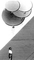 fla.JPG (7838 bytes)