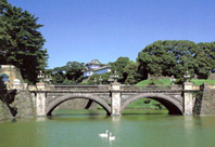 f13.JPG (16058 bytes)