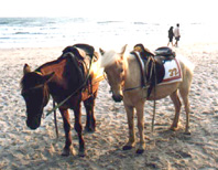 travel5.JPG (21358 bytes)