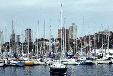 sydney4.jpg (31726 bytes)