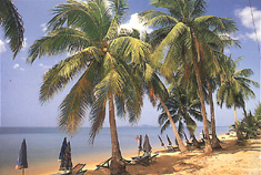 f6.jpg (40851 bytes)