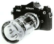 snap.jpg (15554 bytes)