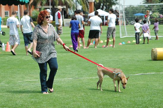 Jesters Fair at Regents is a hit in the sun and rain