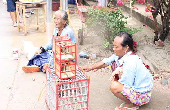 Asalha Buja Day & Buddhist Lent & Candles Parades in Pattaya 2014