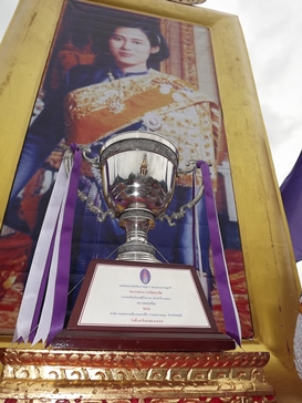 Buffalo races prove popular once again in Pattaya