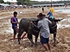 Buffalo races prove popular once again in Pattaya