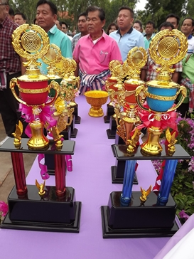 Buffalo races prove popular once again in Pattaya