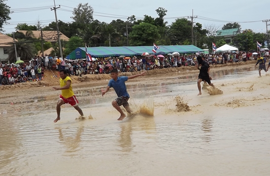 Buffalo races prove popular once again in Pattaya