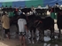 Buffalo races prove popular once again in Pattaya