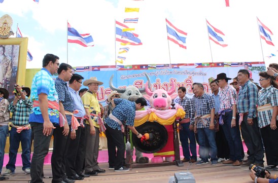 Nongprue Buffalo racing 2014