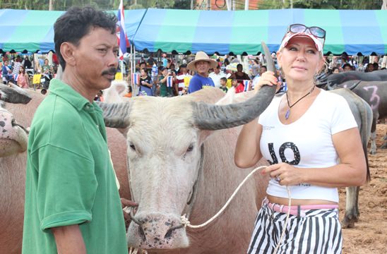 Nongprue Buffalo racing 2014
