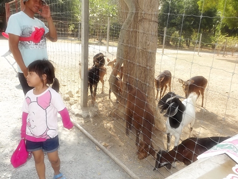 Kids everywhere as Eastern Seaboard celebrates Children�s Day