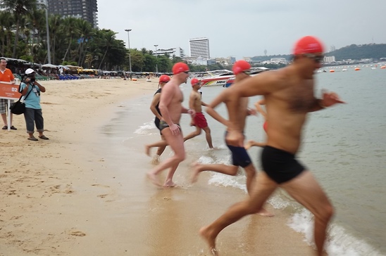 Rotary Charity Cross Bay Swim raises much needed funds for humanitarian projects