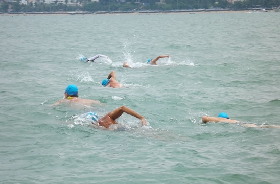 Rotary Charity Cross Bay Swim raises much needed funds for humanitarian projects