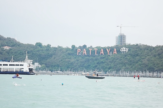 Rotary Charity Cross Bay Swim raises much needed funds for humanitarian projects