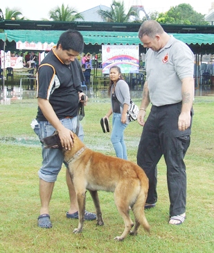 Jesters Fair 2011: Shining in the Rain