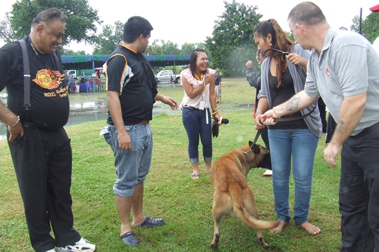 Jesters Fair 2011: Shining in the Rain