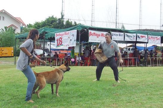 Jesters Fair 2011: Shining in the Rain