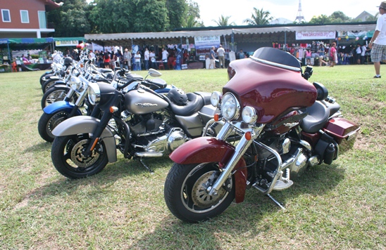 Jesters Fair is a Big Hit in the Sun