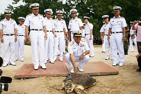 The Royal Thai Navy releases 984 turtles to mark the beginning of HM the King’s 84th year.