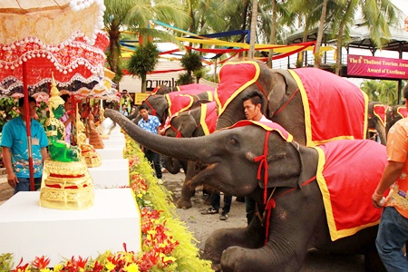 Elephants perform Rod Nam Dam Hua, bathing the Buddha statues.