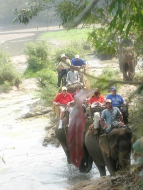 Nathan & friends elephant trekking through Laos.