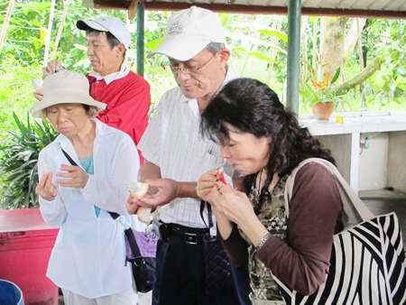 Some of the Japanese guests are tasting certain types of fruit for the first time.