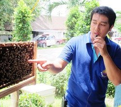 The final station on the tour is “Bees and Honey”.