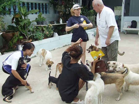 Visitors help by bringing necessities and doggy treats.