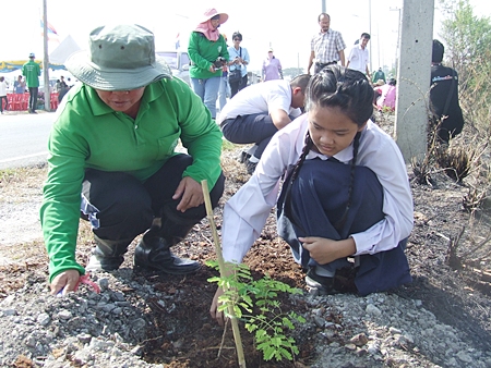 City officials, students and teachers plant trees to honor HM the King. 