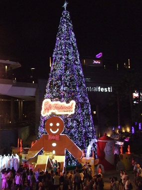 The tallest Christmas tree in the eastern region. 