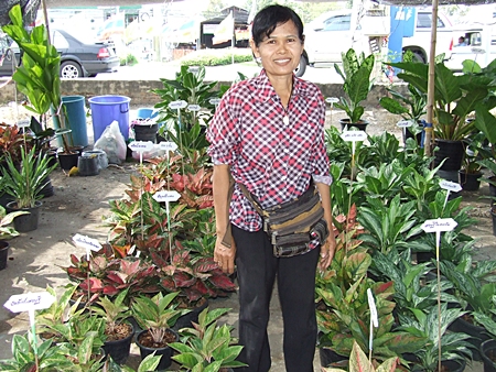 Phinantha Porncharoen sells her home-grown plants at the Klongthom Market.