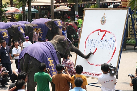A clever 9-year-old female elephant cleverly writes “Stop Killing Elephants”. 