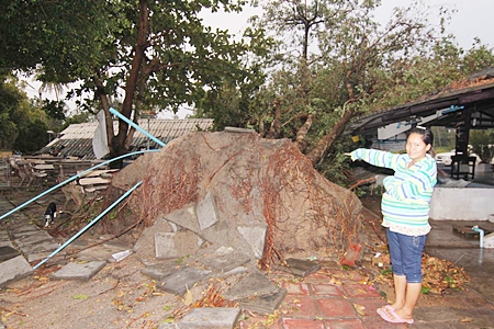 Heavy winds during the March 31 storm were felt throughout the area, including Payoon Beach where the Chai Talay Payoon Seafood restaurant was destroyed when a heavy tree fell on it. No one was injured. 
