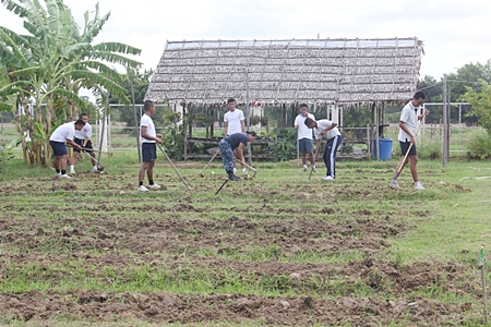 One group of sailors worked hard to till the center’s garden.