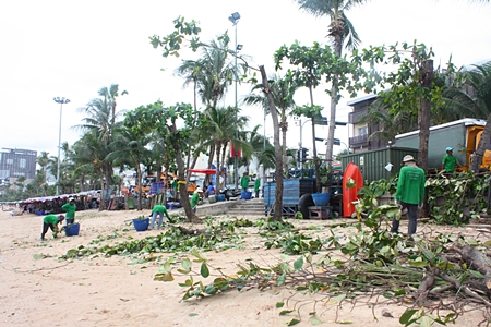 Workers from the Engineering Department trim trees along Pattaya Beach Road. 