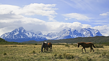Home of the gauchos: Torres del Paine National Park, Patagonia. (Photo: Diego Delso)