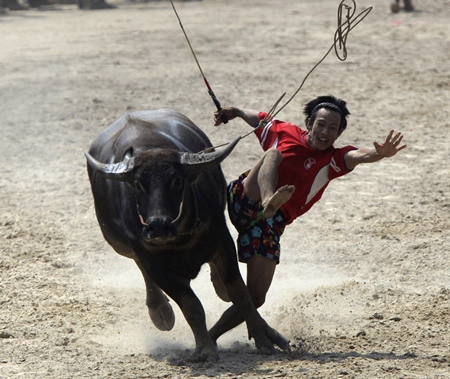 A jockey on these beasts and at these speeds can only hold on for so long.  (AP Photo/Sakchai Lalit)