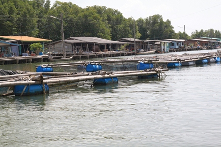 Bang Chan, in Chantaburi’s Lung District, is a fishing village built on the water.