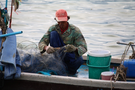 A fisherman removes crabs from his net after catching them in Naklua Bay.