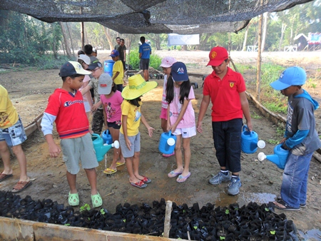 GIS students help plant some new mangrove trees to help the environment.