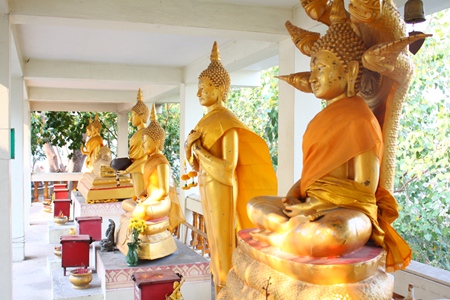 Various Buddha statues represent different days of the week for people to worship on their birthday.