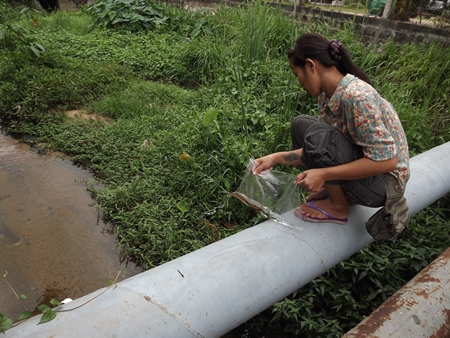 Some citizens release fish from the bridge over Soi Nernplabwan canal, with the belief that this will bring them major merit as they are releasing animals back to their homes.